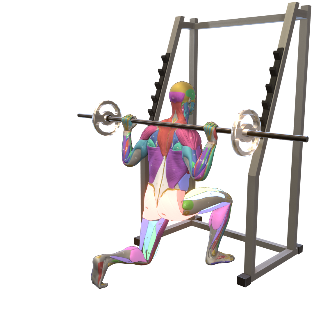 Barbell-Lunge-Pic.png