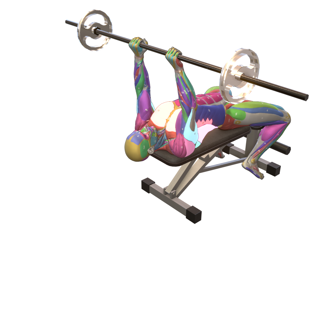 Barbell-Pullover-Pic.png