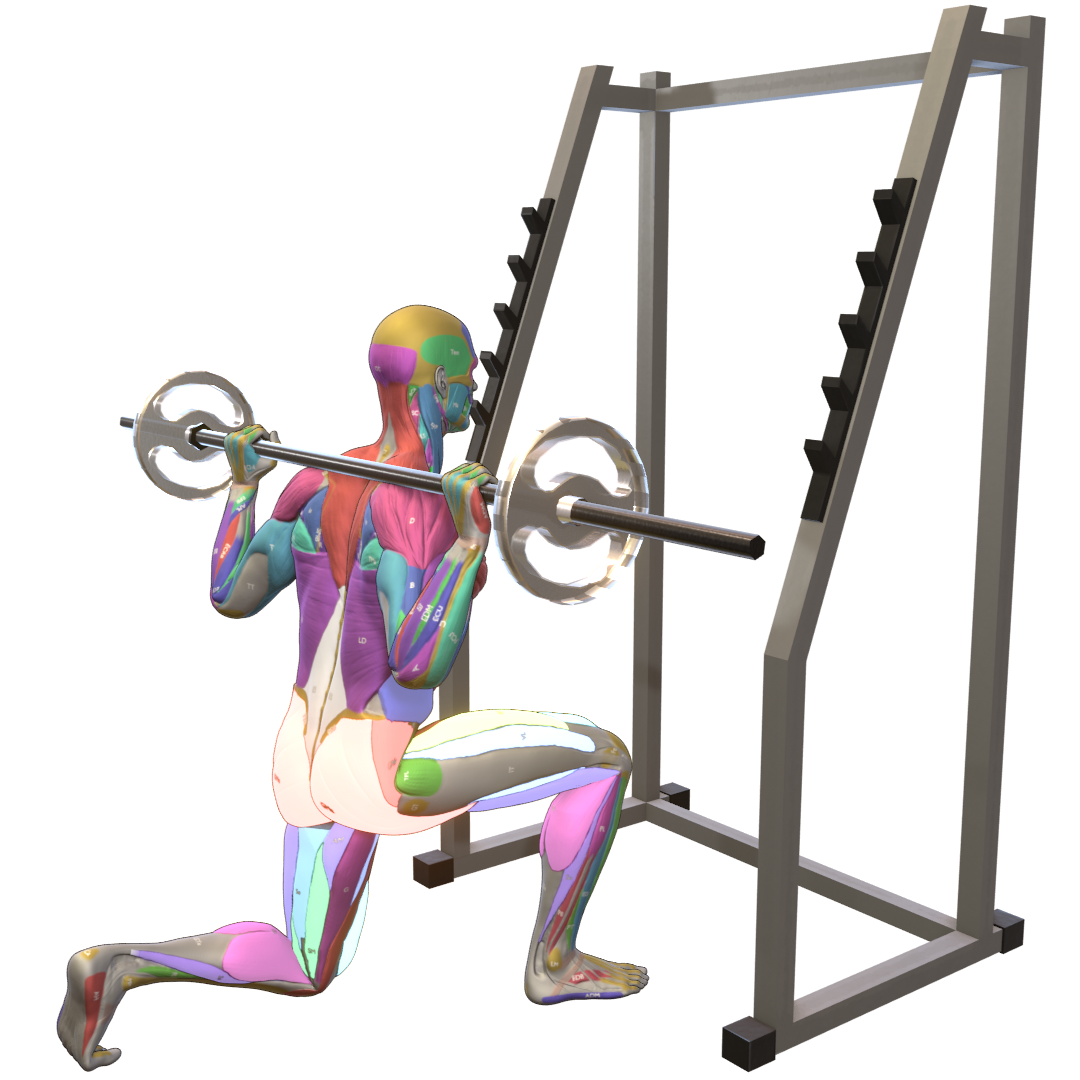 Barbell-Reverse-Lunge-Pic.png