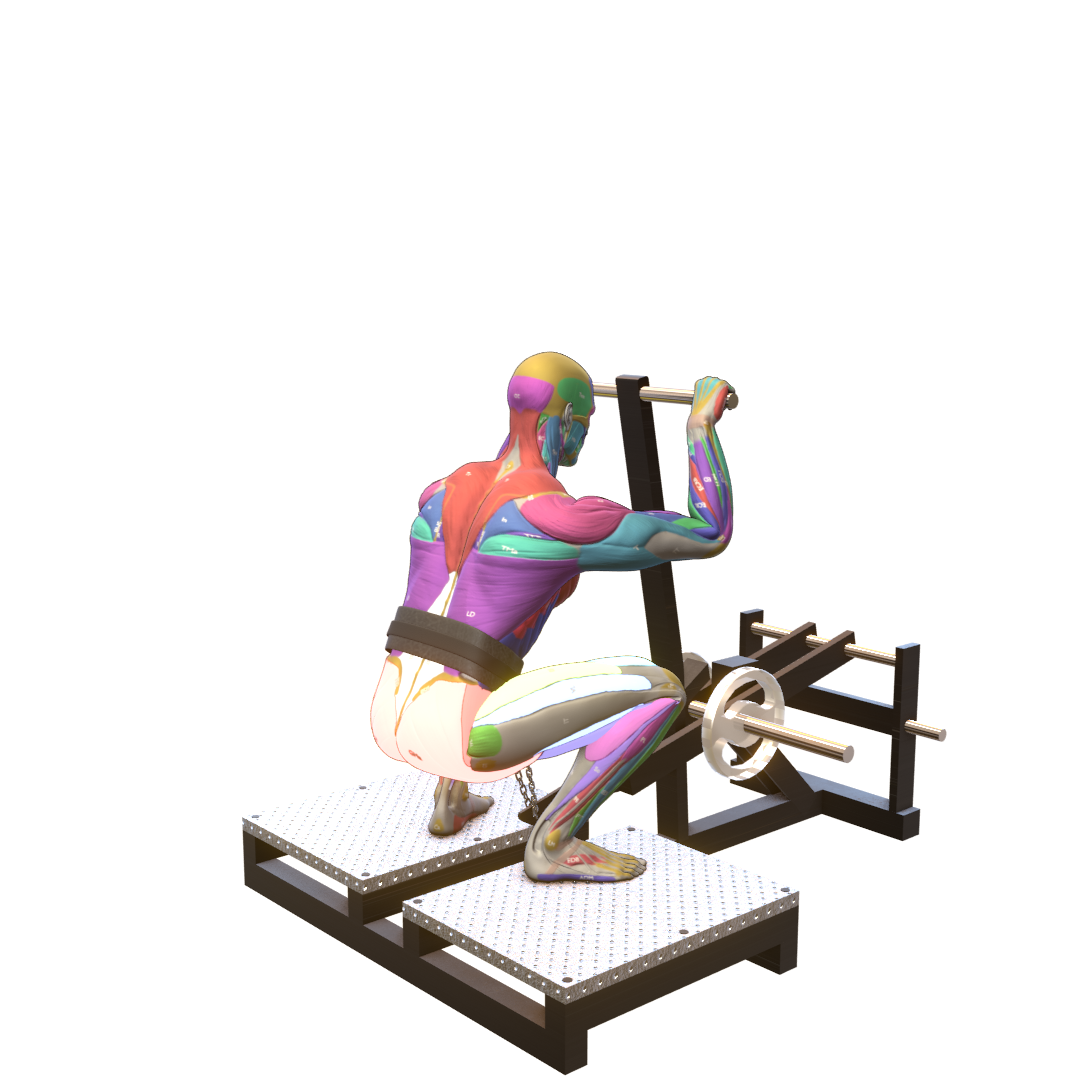 Belt-Squat-Pic.png