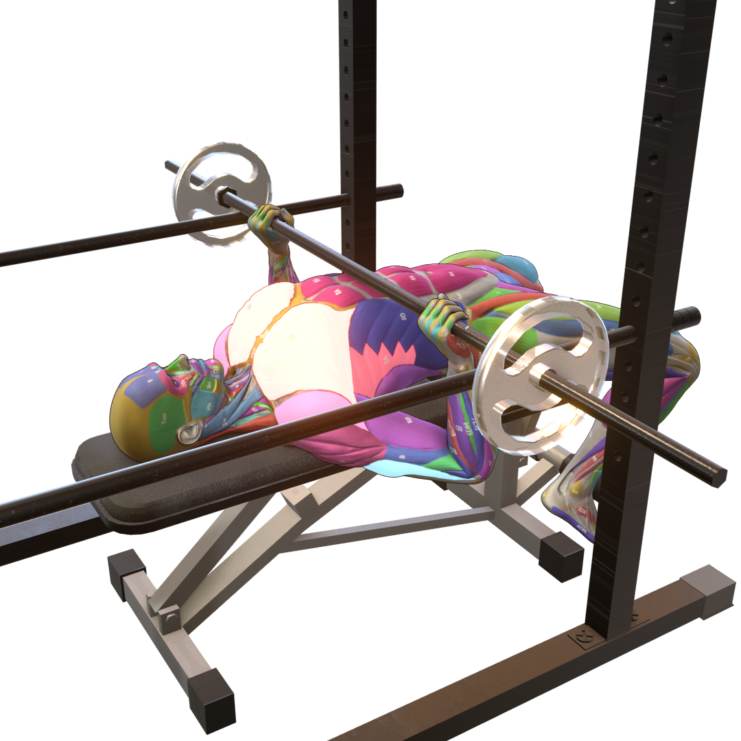 Bench-Pin-Press-Pic.png