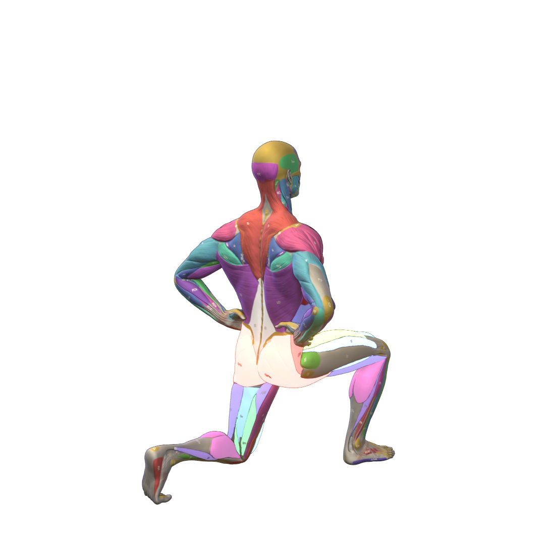 Bodyweight-Lunge-Pic.png