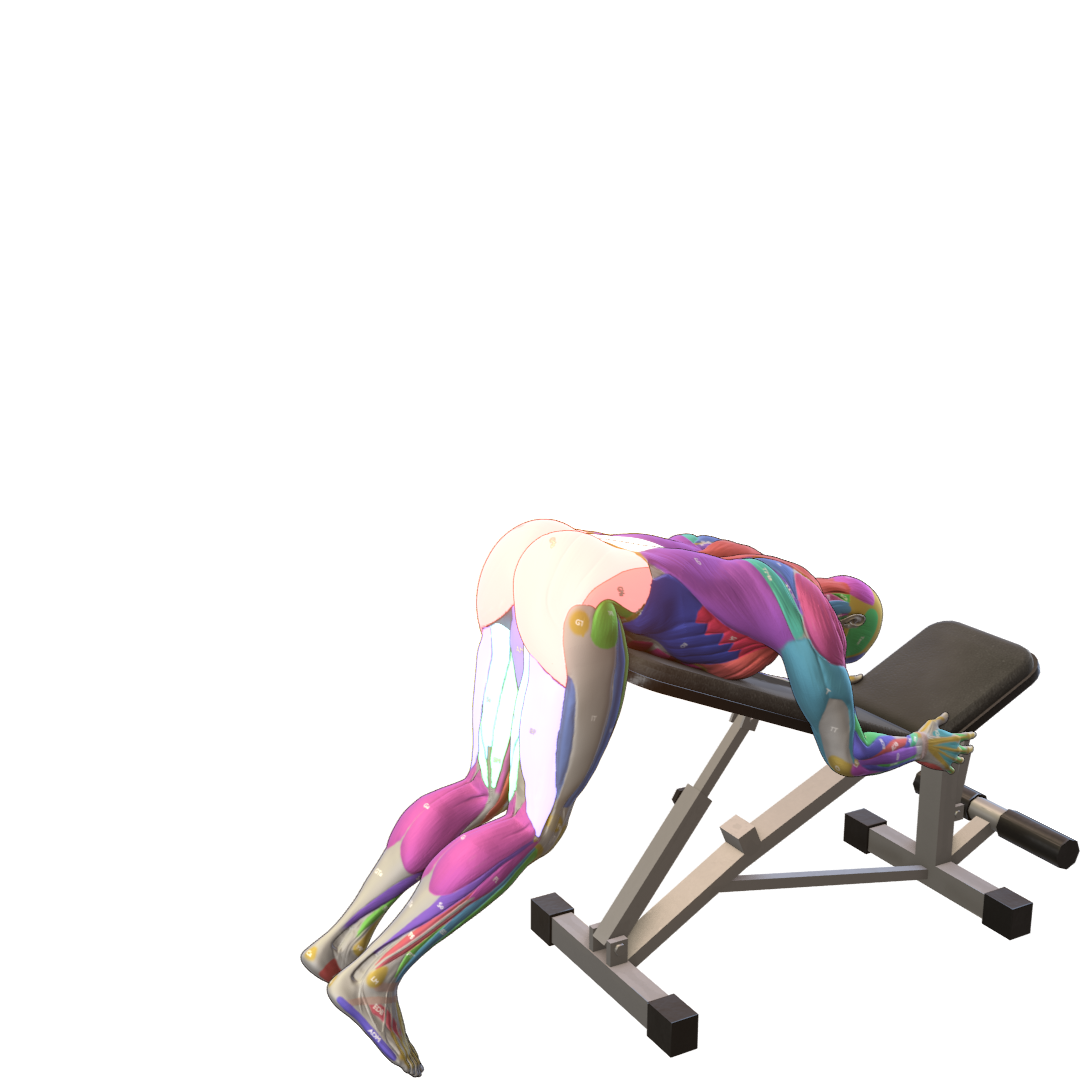 Bodyweight-Reverse-Hyperextension-Pic.png