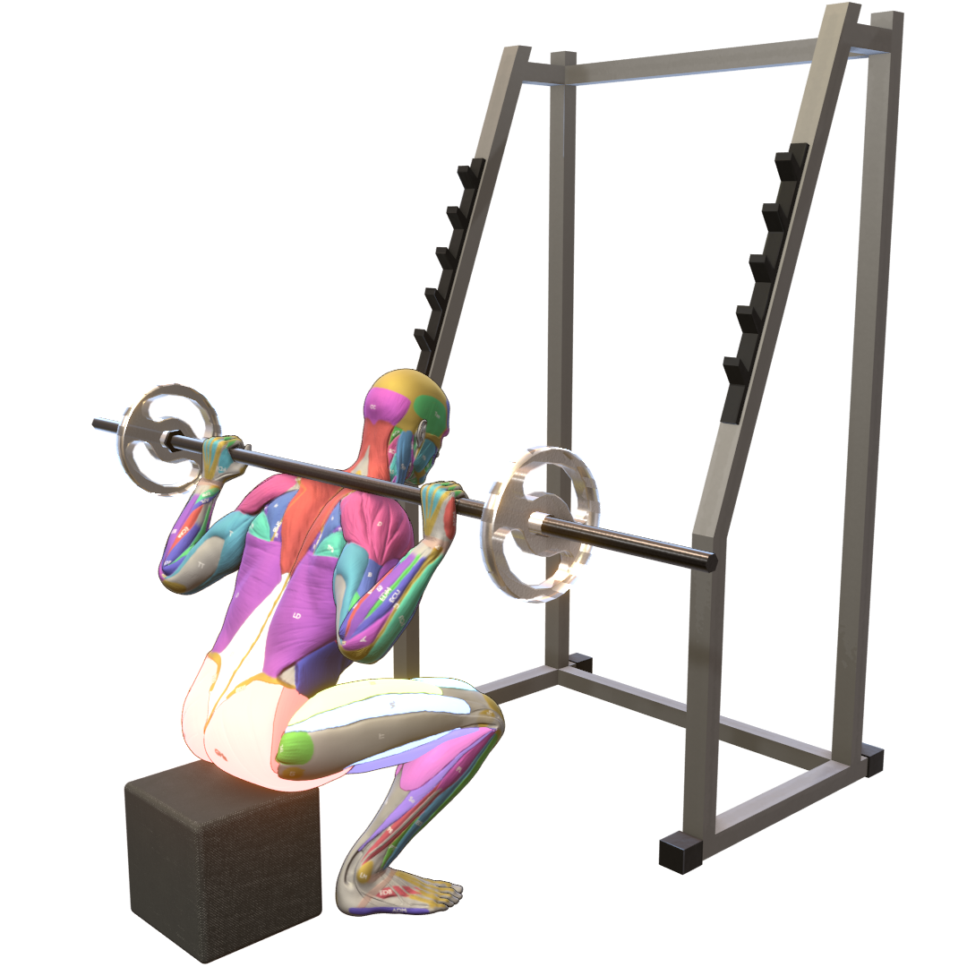 Box-Squat-Pic.png