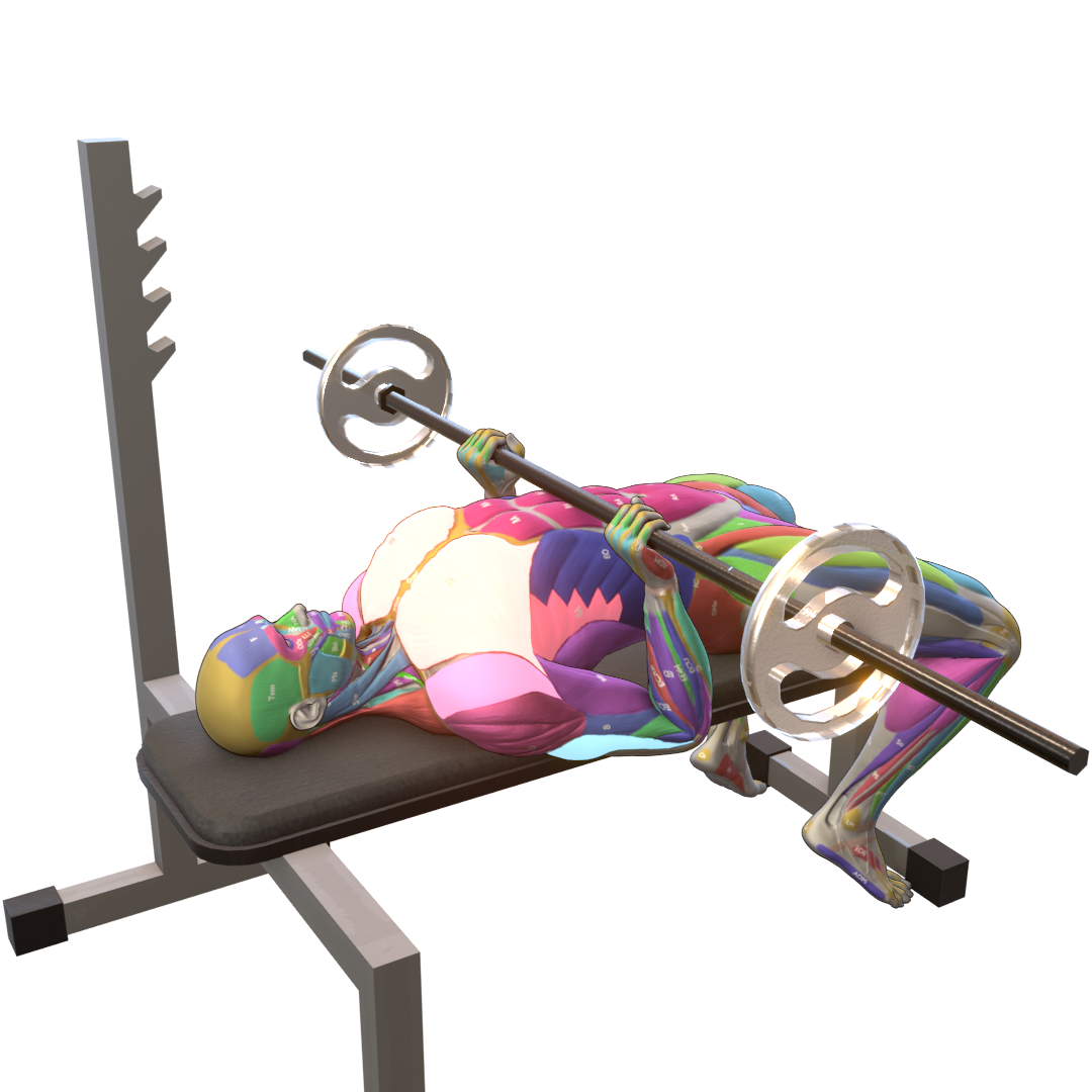 Close-Grip-Bench-Press-Pic.png