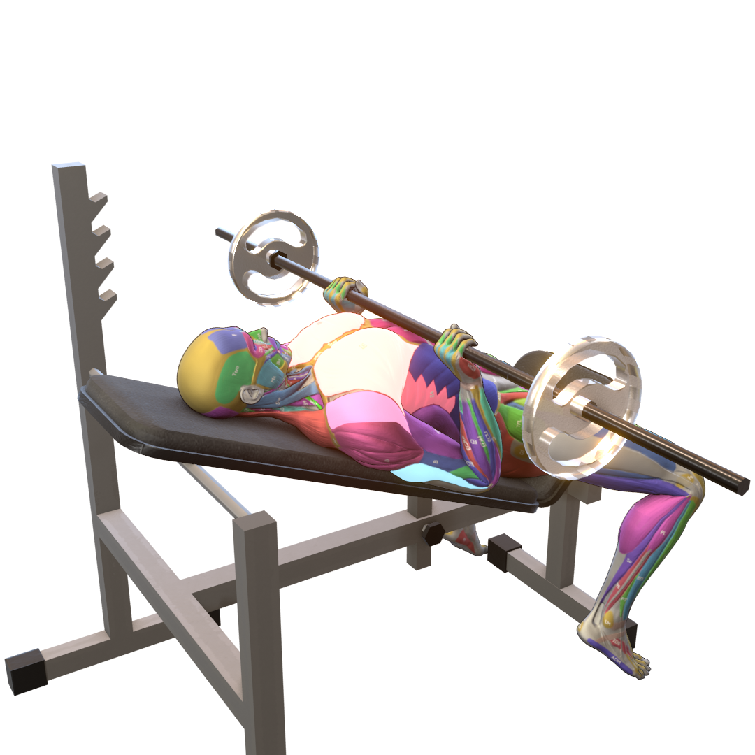 Close-Grip-Incline-Bench-Press-Pic.png