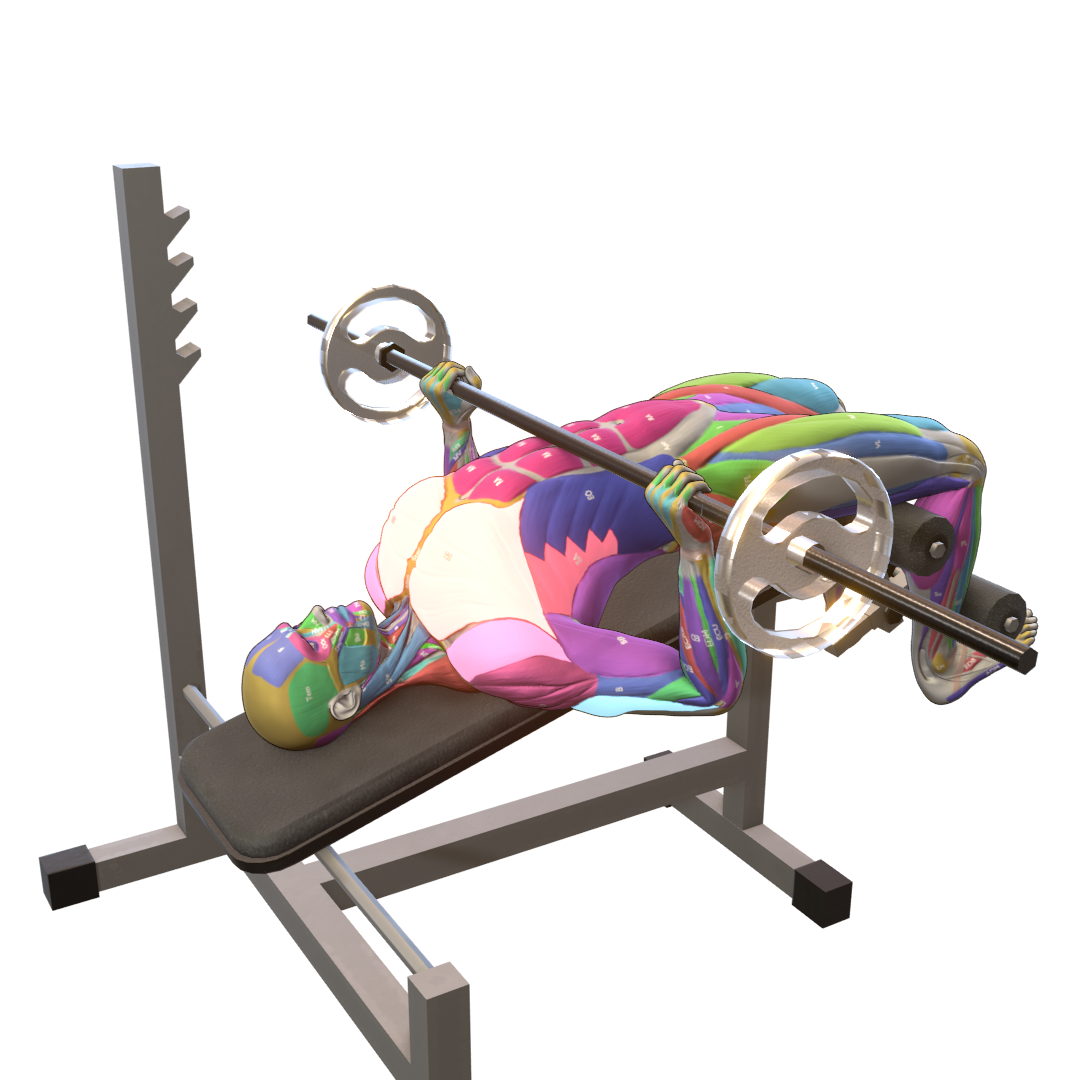 Decline-Bench-Press-Pic.png