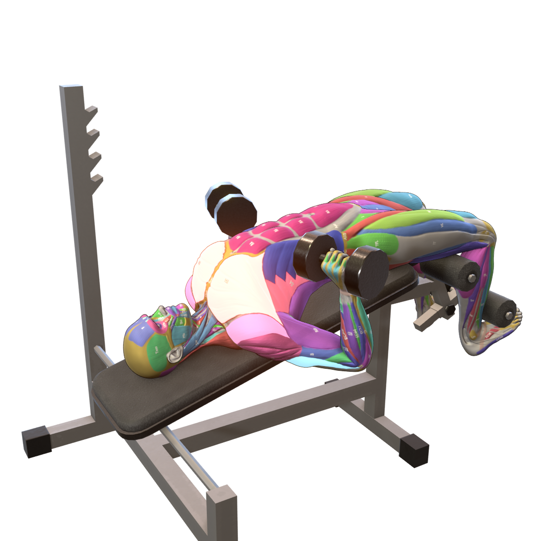 Decline-Dumbbell-Bench-Press-Pic.png