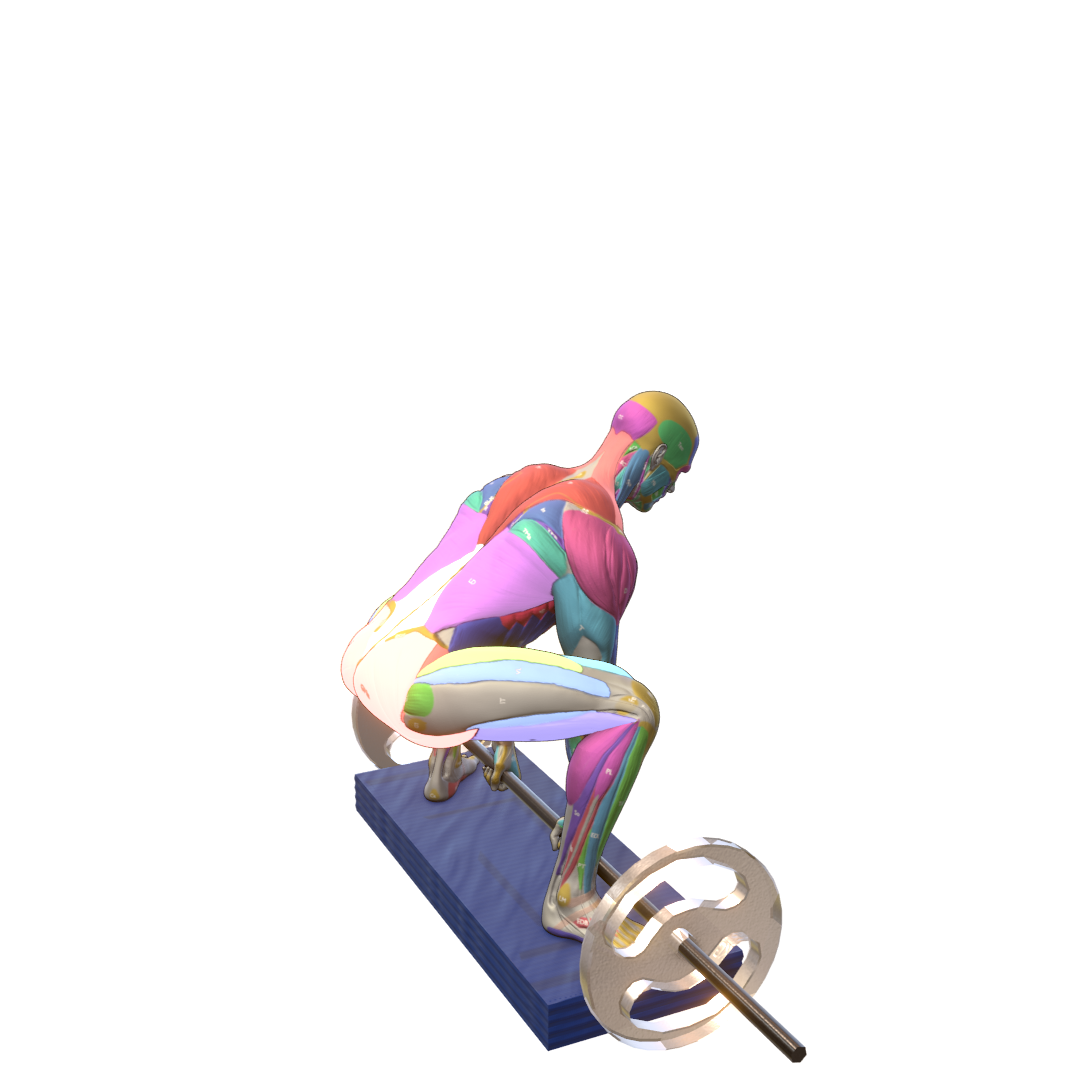 Deficit-Sumo-Deadlift-Pic.png