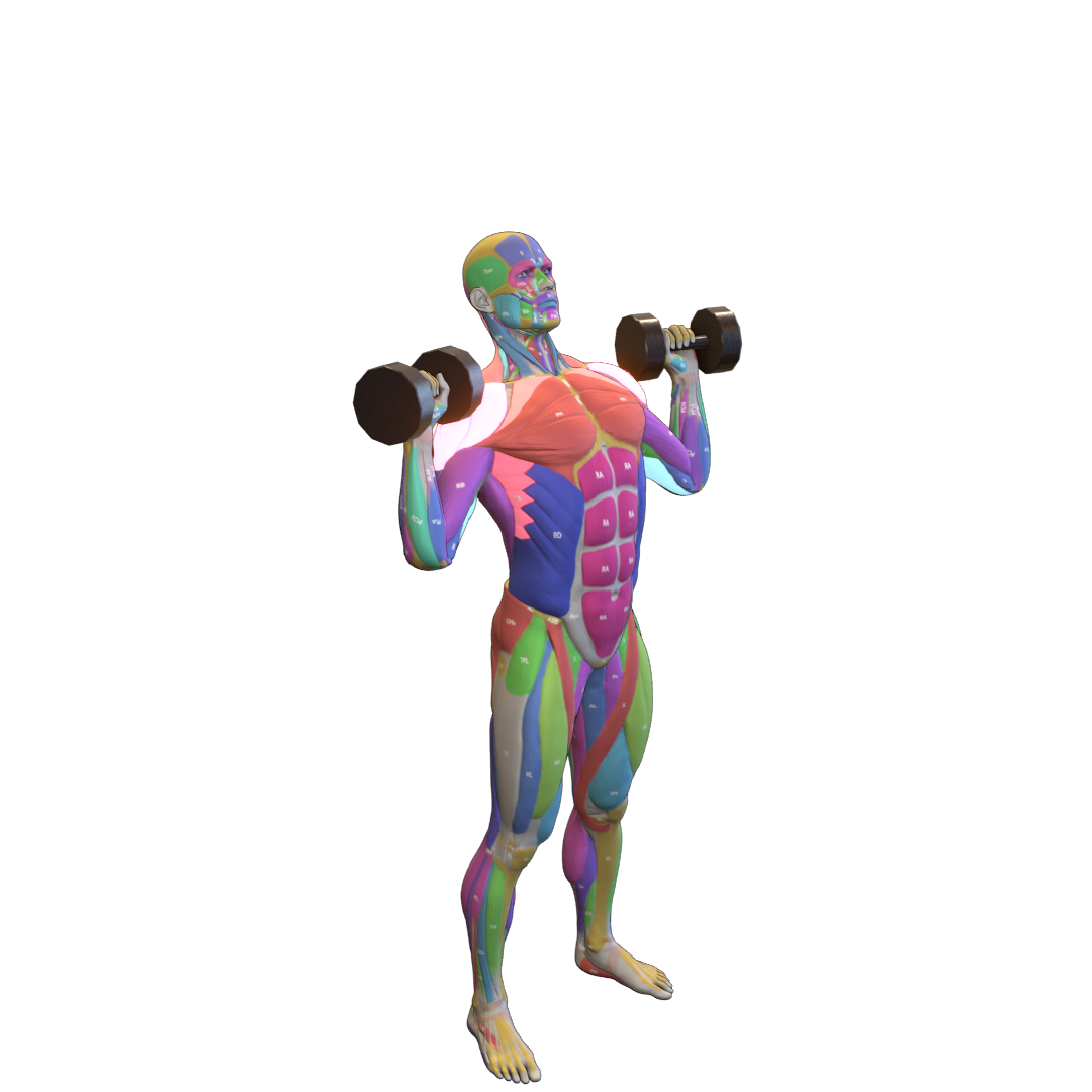 Dumbbell-Shoulder-Press-Pic.png