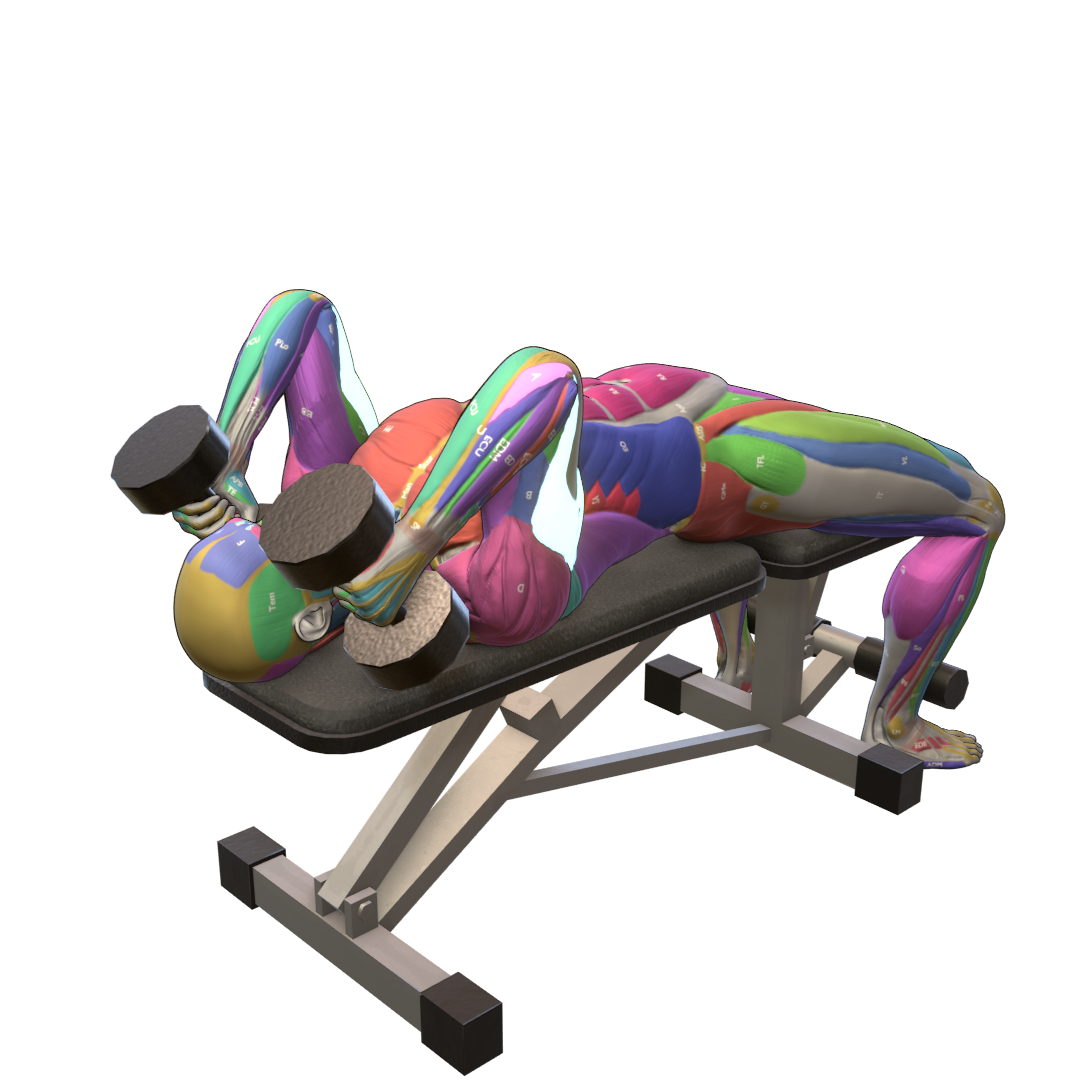 Dumbbell-Skullcrusher-Pic.png