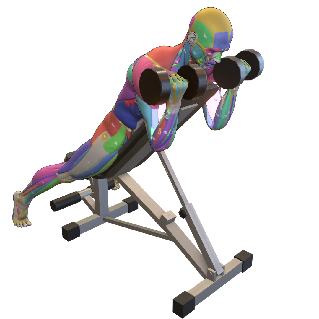 Dumbbell-Spider-Curl-Pic.png