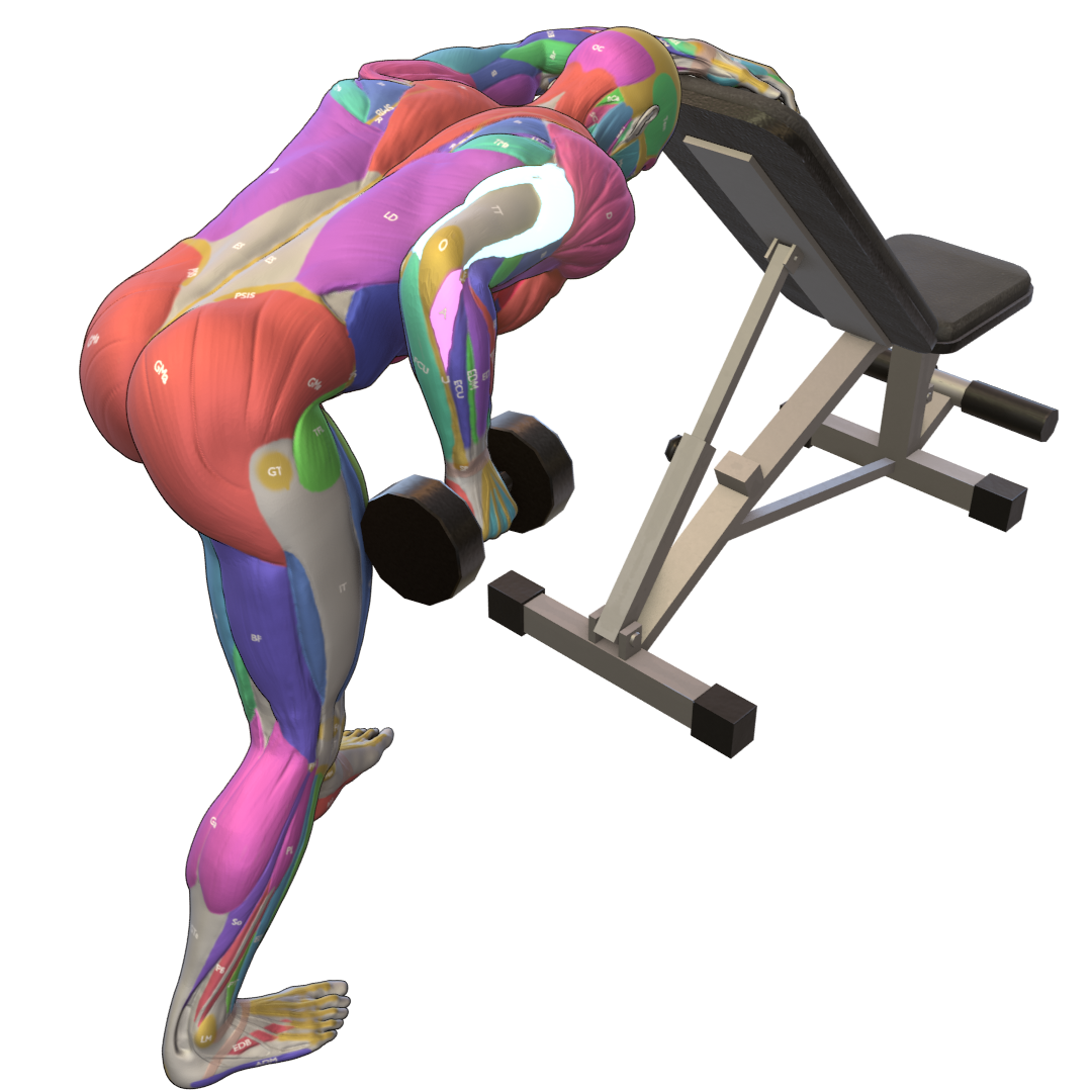 Dumbbell-Triceps-Kickback-Pic.png