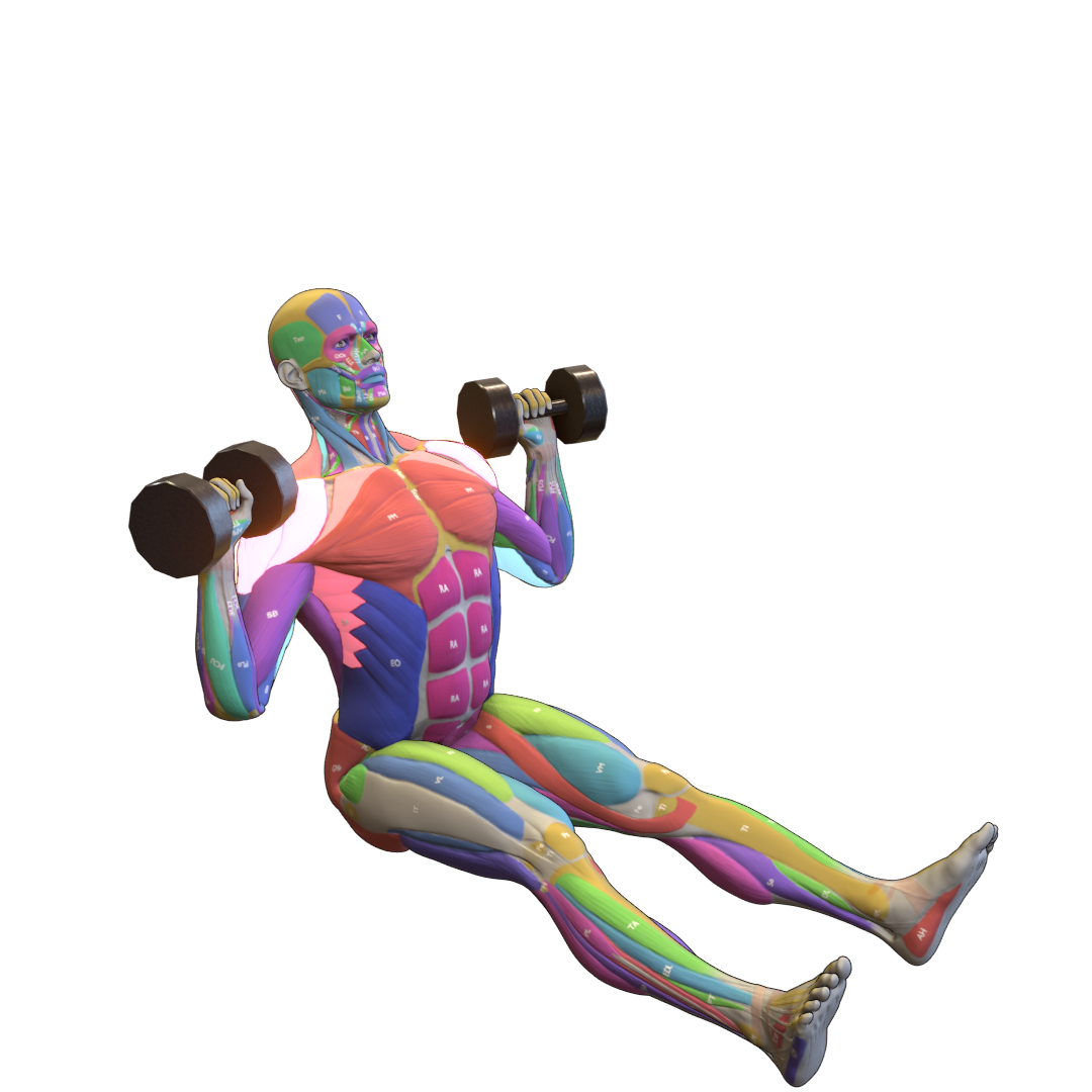 Dumbbell-Z-Press-Pic.png