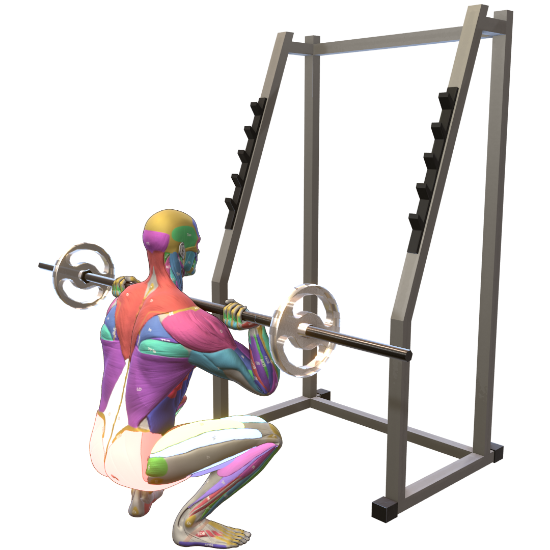 Front-Squat-Pic.png