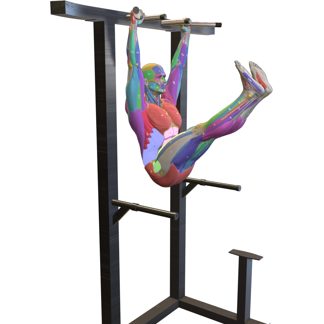 Hanging-Leg-Raise-Pic.png