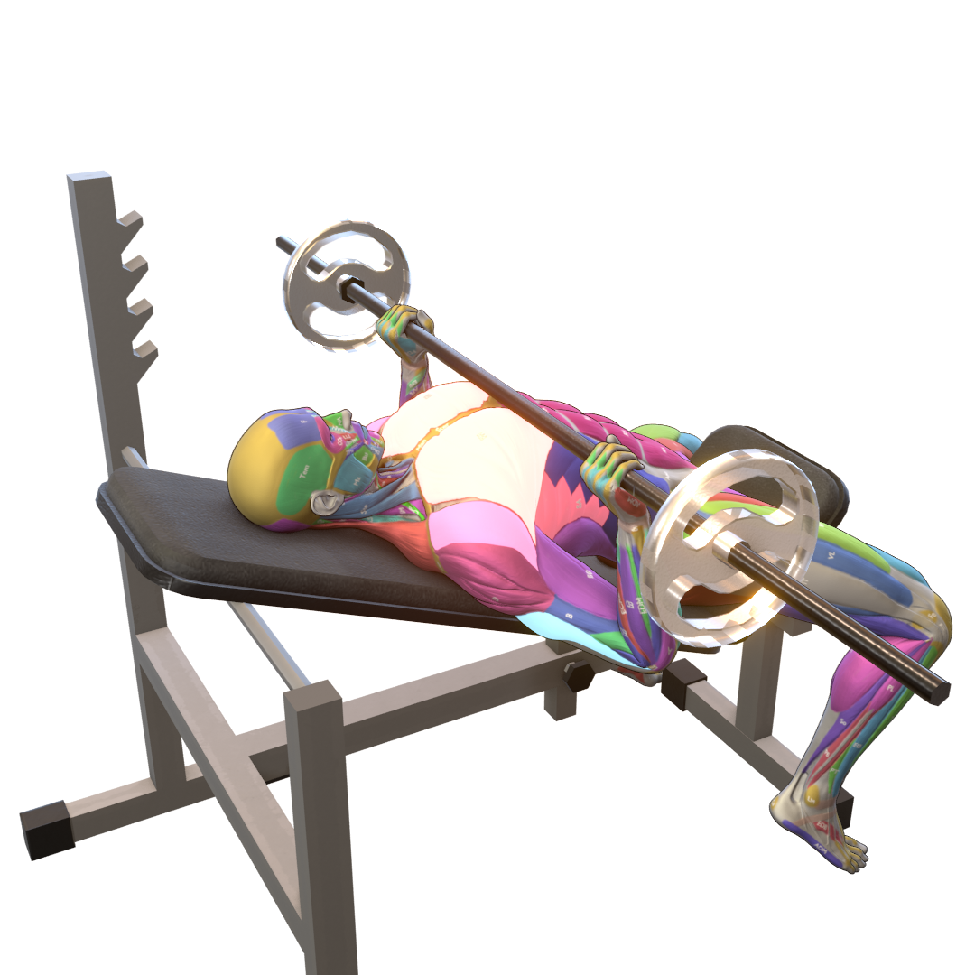 Incline-Bench-Press-Pic.png