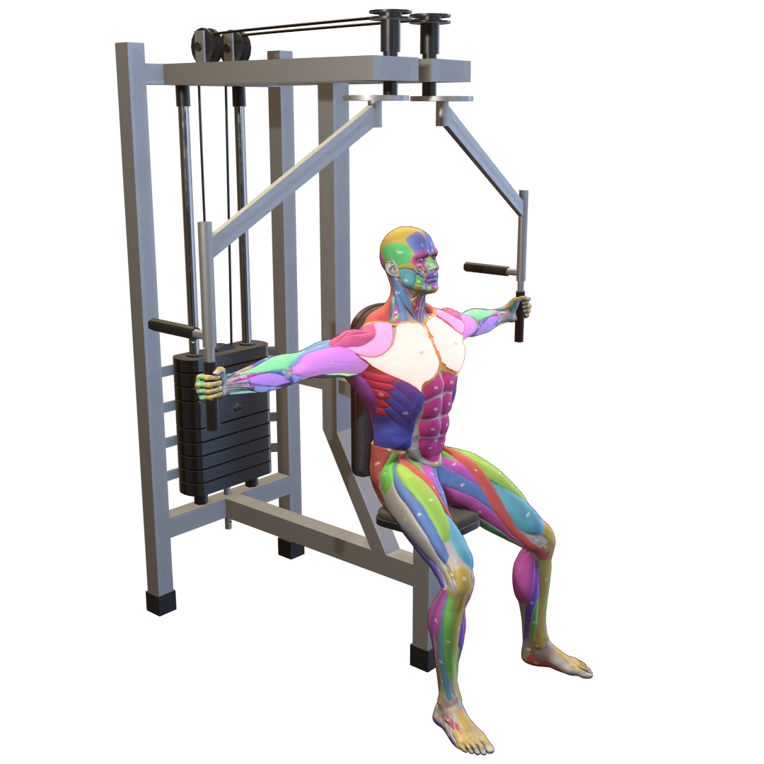 Machine-Chest-Fly-Pic.png