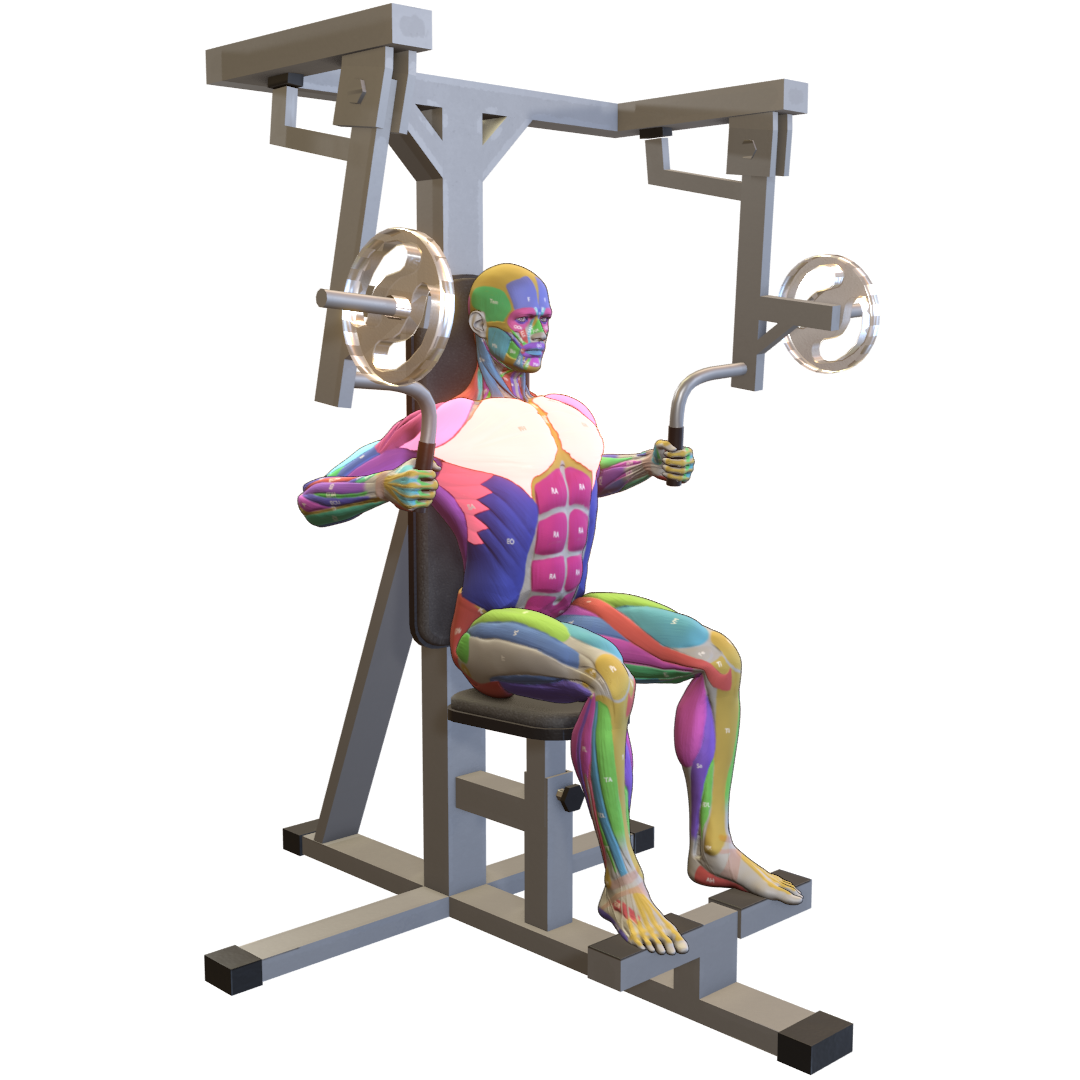 Machine-Chest-Press-Pic.png