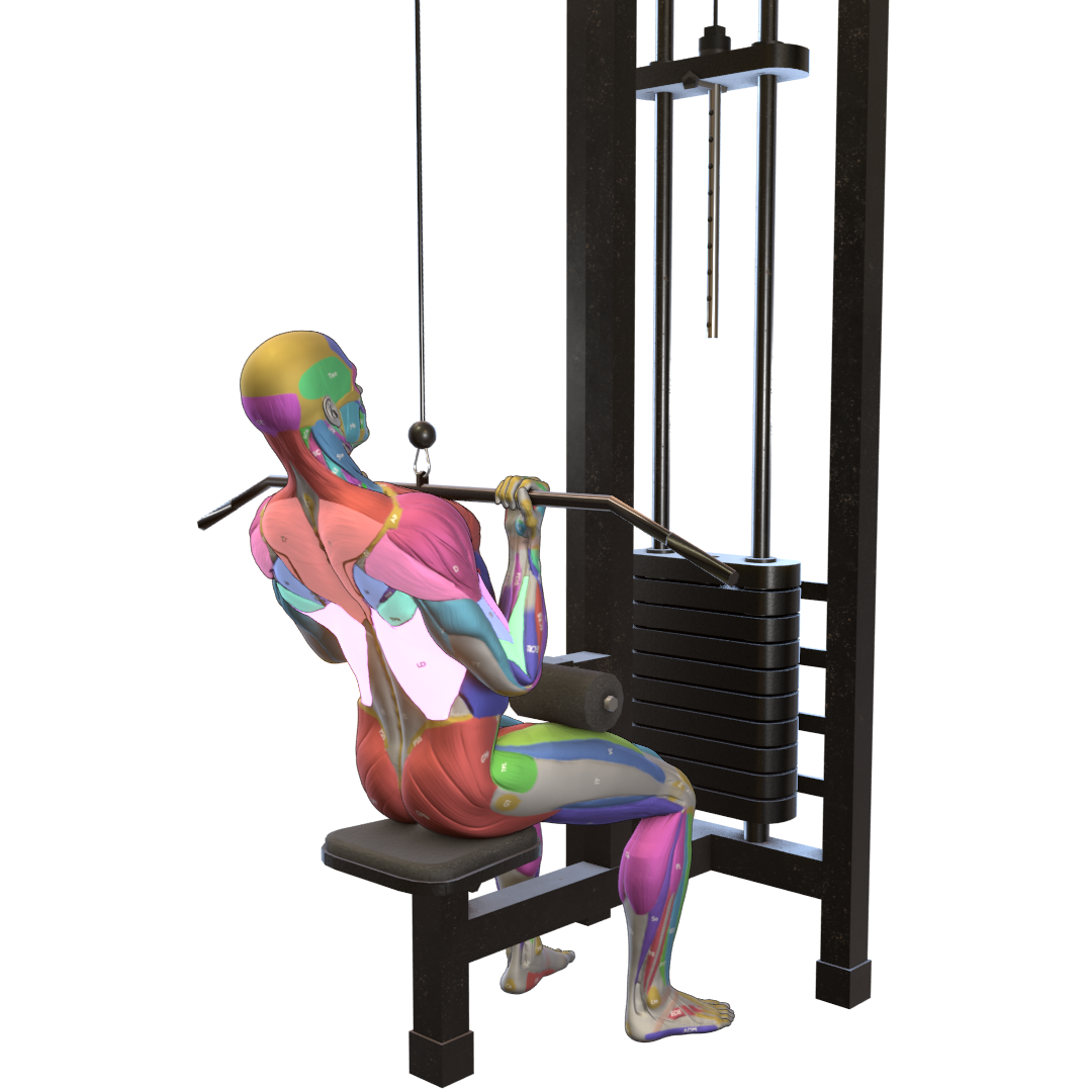 Reverse-Grip-Lat-Pulldown-Pic.png