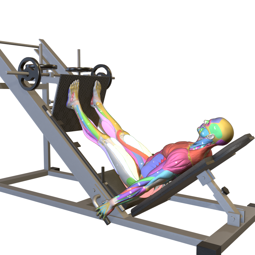 Sled-Leg-Press-Pic.png