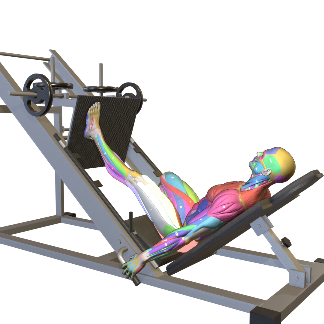 Sled-Single-Leg-Press-Pic.png