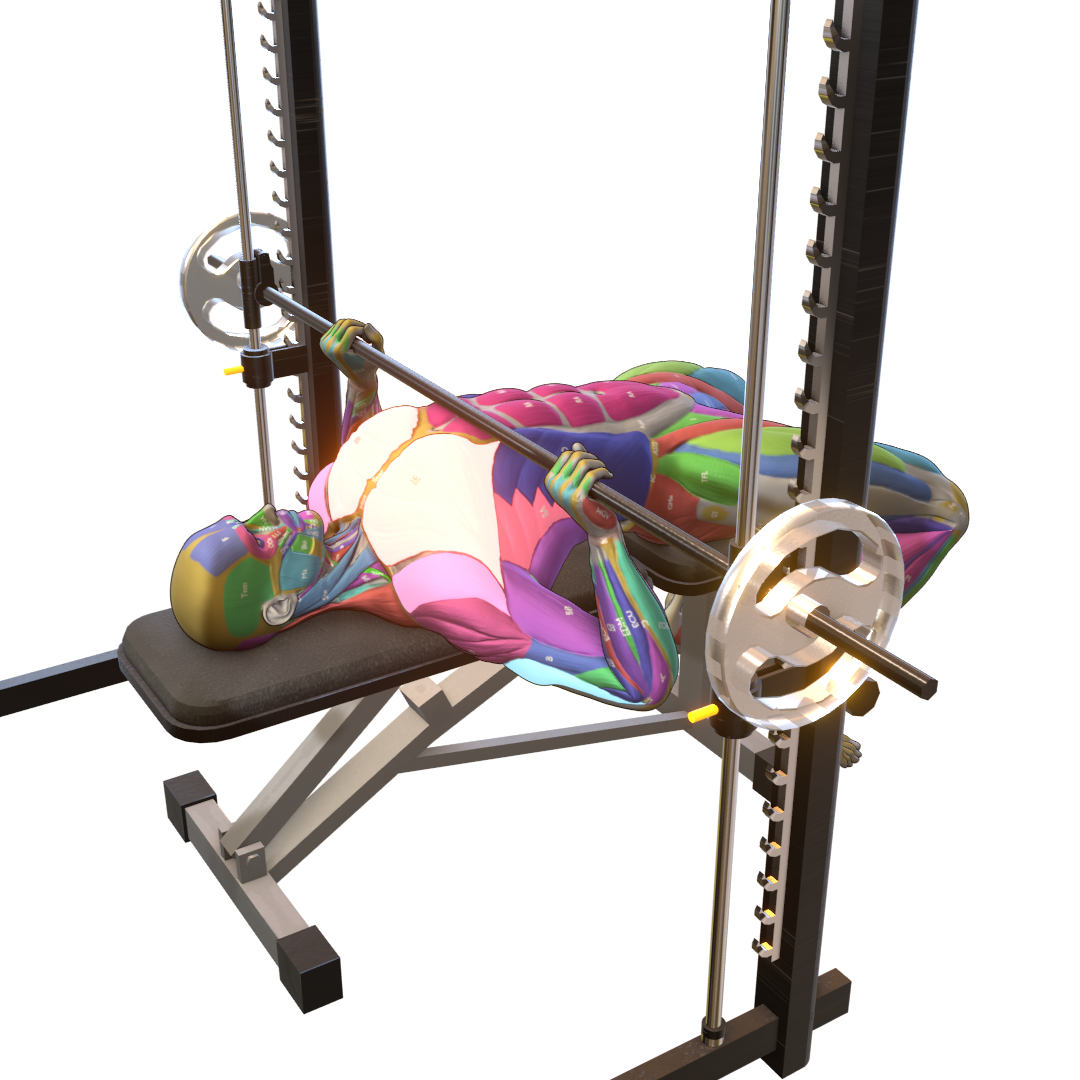 Smith-Machine-Bench-Press-Pic.png