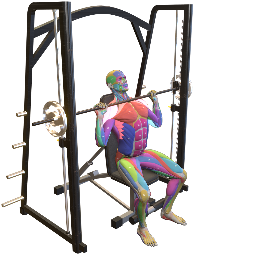 Smith-Machine-Overhead-Press-Pic.png