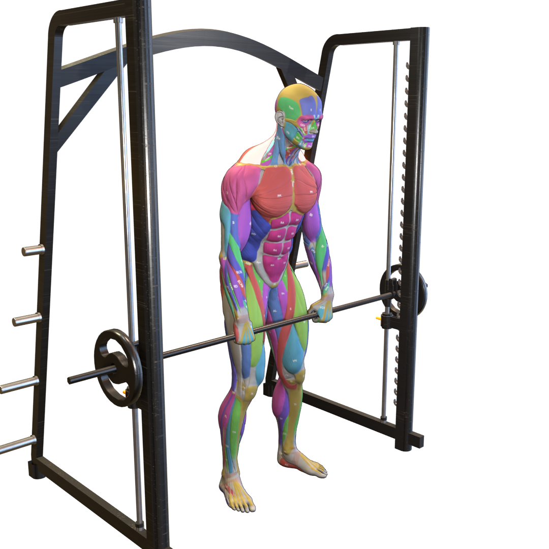 Smith-Machine-Shrug-Pic.png