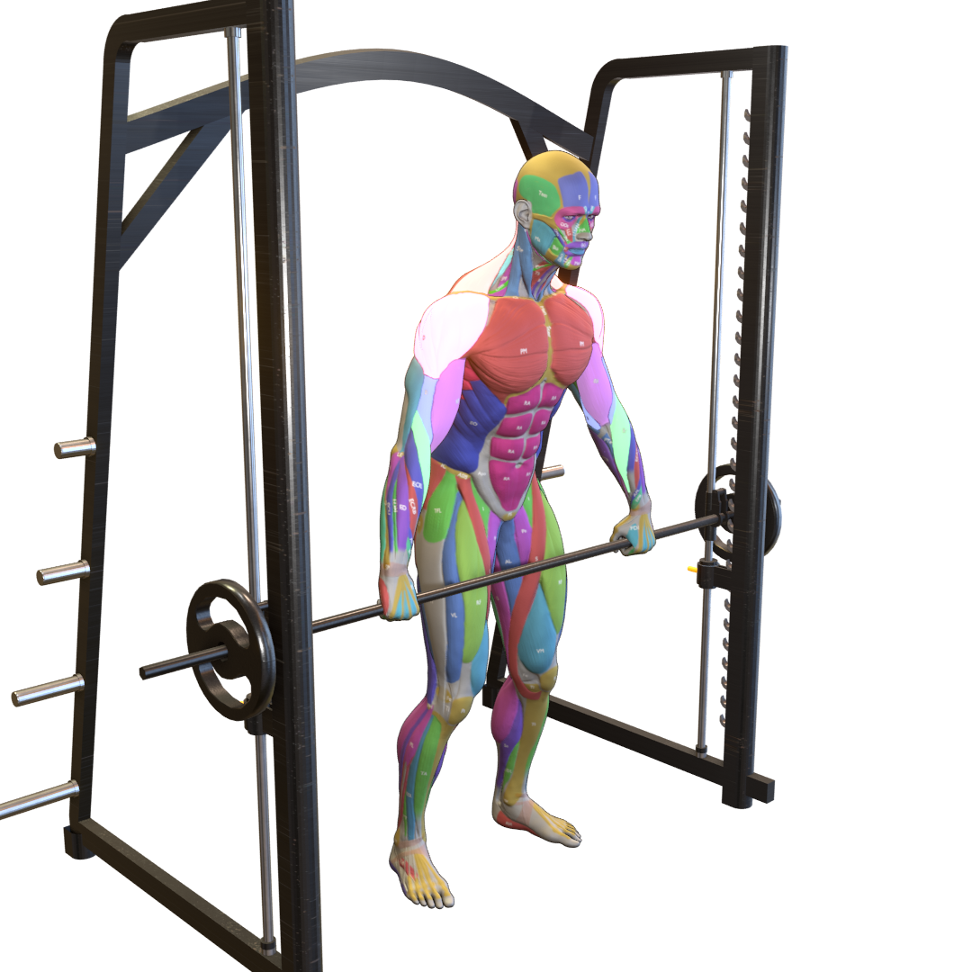 Smith-Machine-Upright-Row-Pic.png