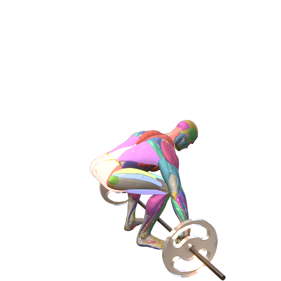 Snatch-Grip-Deadlift-Pic.png