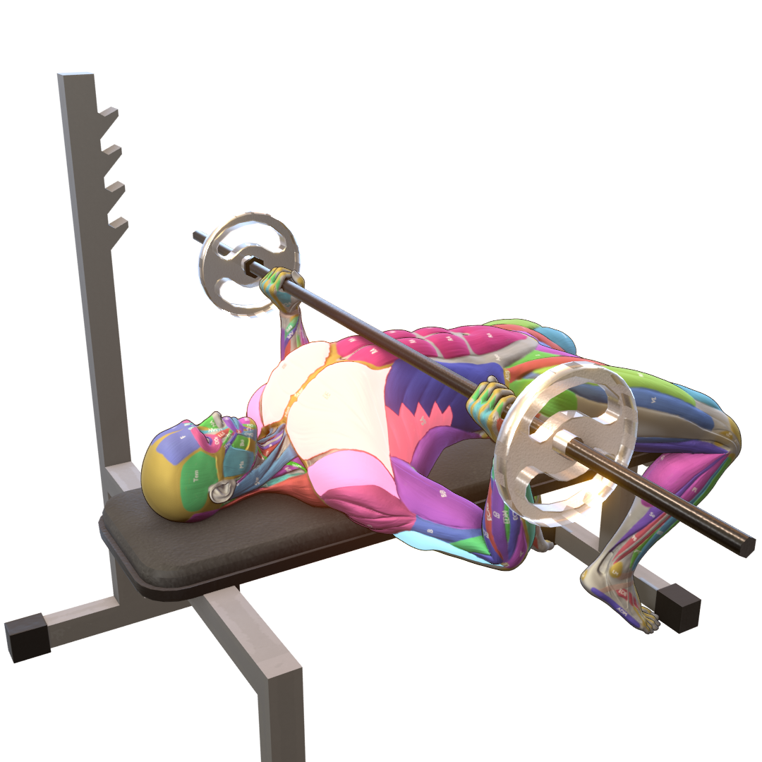 Wide-Grip-Bench-Press-Pic.png